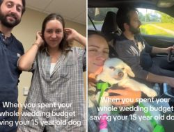 Couple’s Wedding Savings Face Tough Choice After Senior Dog’s Illness