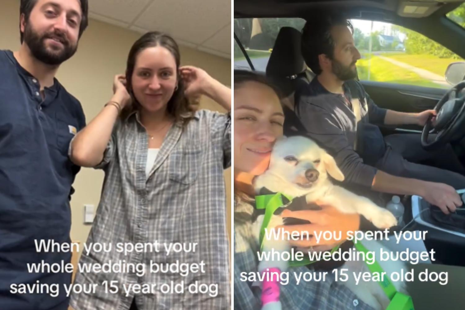 Couple’s Wedding Savings Face Tough Choice After Senior Dog’s Illness