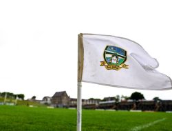 Tailteann Park redevelopment may force Meath to play at a neutral venue