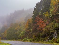 A Hidden Two-Lane Drive Through North Carolina’s Moonshine Country Offers a Scenic, Crowdfree Escape A Hidden Two-Lane Drive Through North Carolina’s Moonshine Country Offers a Scenic, Crowdfree Escape