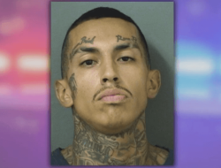 Man Arrested After Shovel Attack on Neighbor in West Palm Beach