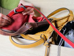 Maximize Closet Space with This Dollar Tree Purse Organizer DIY Maximize Closet Space with This Dollar Tree Purse Organizer DIY