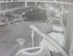 Car Slams Into Orlando Business in Surveillance Footage