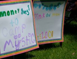 Little Girls’ Lemonade Aid for Texas Flood Victims