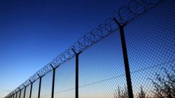 70-Year-Old Man Arrested for Alleged Government Project Vandalism: ‘It’s Sabotage’