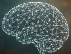 New neuroscience study links psychopathic traits to unique brain networks New neuroscience study links psychopathic traits to unique brain networks