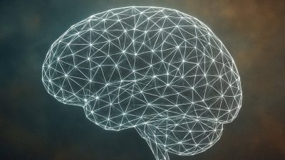 New neuroscience study links psychopathic traits to unique brain networks