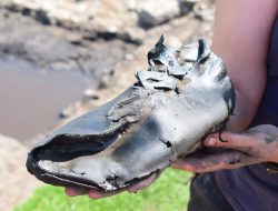 Big Roman Shoes Found Near Hadrian’s Wall—But Not for Big Feet