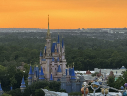 Plan Your Disney World Adventure: Don’t Miss California Grill