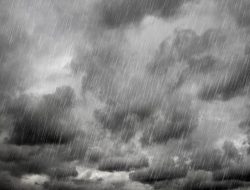 Orange and Yellow Weather Warnings Issued Across Irish Counties Orange and Yellow Weather Warnings Issued Across Irish Counties