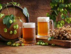 Tasted Hops From This Washington Valley Without Knowing It
