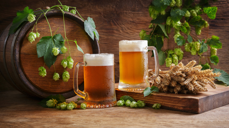 Tasted Hops From This Washington Valley Without Knowing It