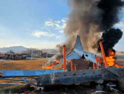 Deadly South Korea Plane Crash Caused by Pilot Error, Report Reveals