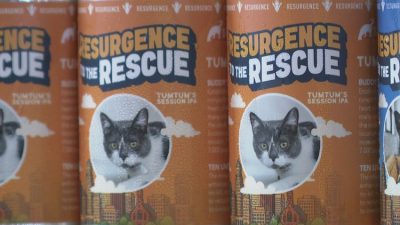 Rescue Pets Upstage K Charity Beer Bash