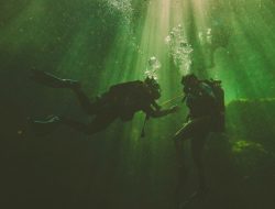 A Hidden Ethereal Spring Between Tallahassee and Jacksonville Awaits Swimmers and Snorkelers