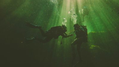A Hidden Ethereal Spring Between Tallahassee and Jacksonville Awaits Swimmers and Snorkelers