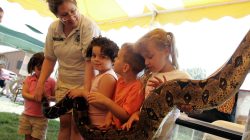 4-H Kids and Their Animals at the 2006 Putnam County Fair