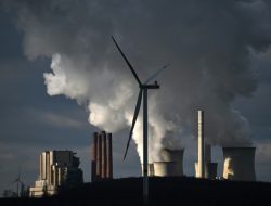 Major courts shape climate battle globally
