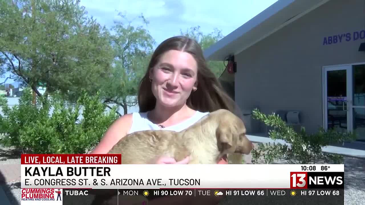 Humane Society and PACC Receive .9 Million Grant