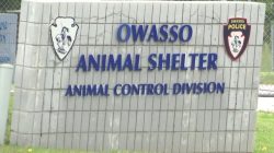 Owasso Resident Speaks Out on Animal Shelter Probe