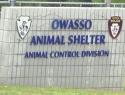 Owasso Resident Speaks Out on Animal Shelter Probe