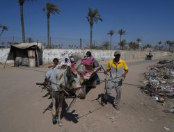 UN agency confirms Israeli tanks and snipers targeted Gaza aid seekers UN agency confirms Israeli tanks and snipers targeted Gaza aid seekers