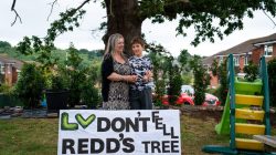 Blind and deaf boy battles insurer to save beloved tree