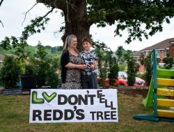 Blind and deaf boy battles insurer to save beloved tree