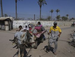 UN warns Israeli forces fired on Gaza aid seekers UN warns Israeli forces fired on Gaza aid seekers