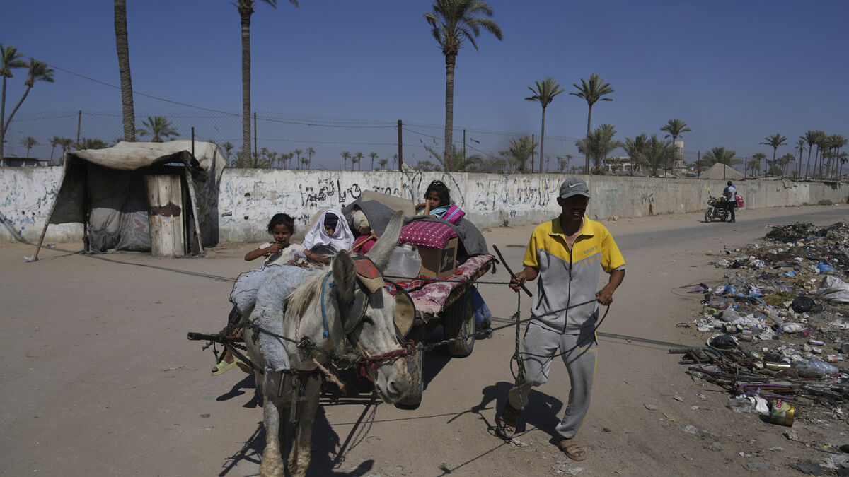 UN warns Israeli forces fired on Gaza aid seekers
