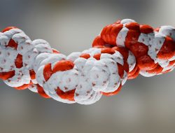 Tirzepatide leads in blood sugar and weight loss for type 2 diabetes