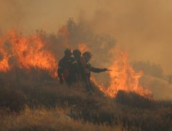 Wildfires Warn Brits Heading to Mediterranean Gem