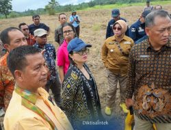Pemerintah Akan Bangun Sekolah Garuda di Sultra, Wamendikristek Stella Christie Pantau Lokasi Pemerintah Akan Bangun Sekolah Garuda di Sultra, Wamendikristek Stella Christie Pantau Lokasi