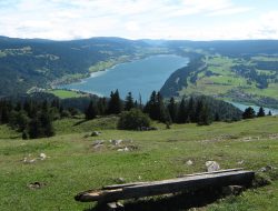 The Jura’s Silent Green Giant: Europe’s Largest Forest in France
