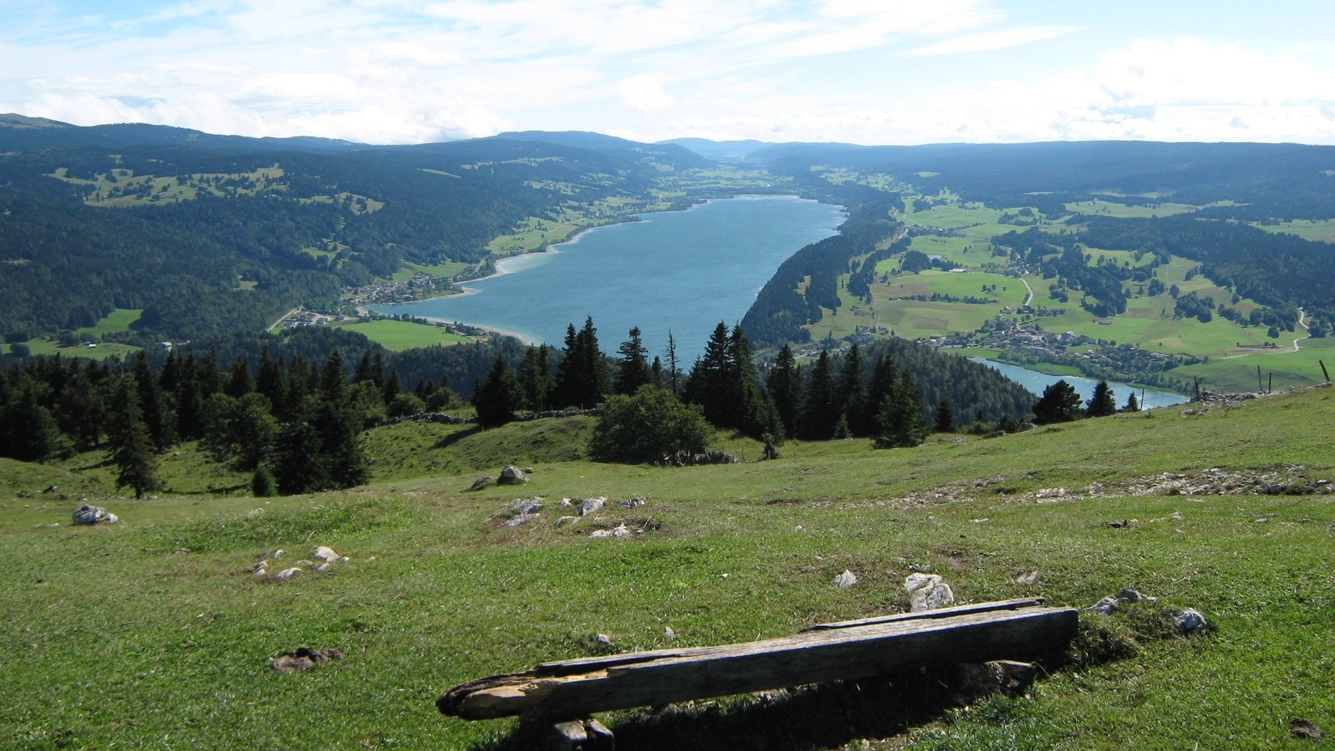 The Jura’s Silent Green Giant: Europe’s Largest Forest in France