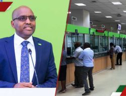 KCB Bank Opens Job Opportunities for Kenyans – Apply Now