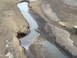Hosepipe Ban Imposed in Parts of UK After Record Dry Spring Hosepipe Ban Imposed in Parts of UK After Record Dry Spring