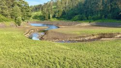 Will a Hosepipe Ban Hit Your Area? United Utilities Reacts to Yorkshire’s Crisis