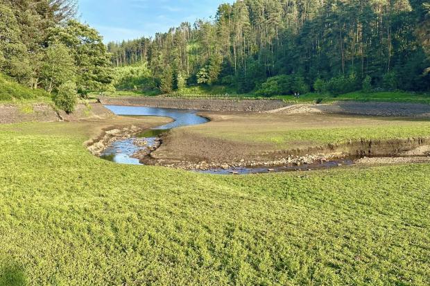 Will a Hosepipe Ban Hit Your Area? United Utilities Reacts to Yorkshire’s Crisis