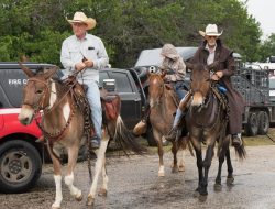 Texas Flood: Dozens Missing, Ongoing Search Efforts