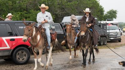 Texas Flood: Dozens Missing, Ongoing Search Efforts