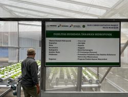 Pertamina Foundation Wujudkan Lingkungan Hijau Melalui Program Hutan Lestari