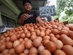 Harga Ayam dan Telur di Cirebon Naik Bersamaan