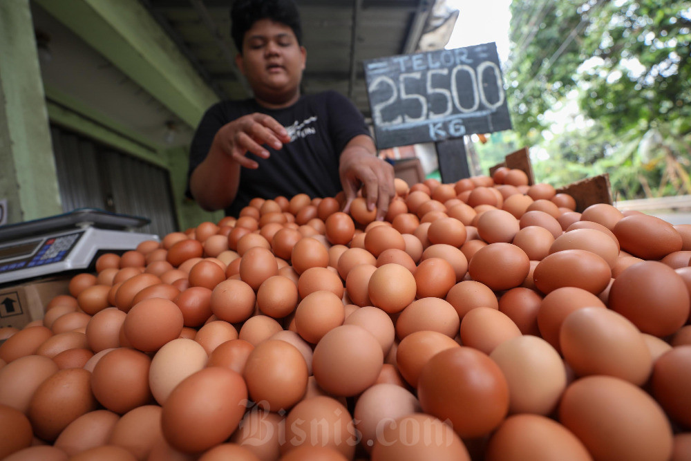 Harga Ayam dan Telur di Cirebon Naik Bersamaan