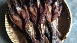 Makanan Lezat dan Terjangkau di Trenggalek 2025, Pernah Coba?