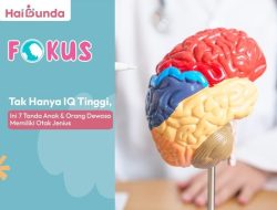 Hanya IQ Tinggi? Ini 7 Tanda Otak Jenius pada Anak dan Dewasa Hanya IQ Tinggi? Ini 7 Tanda Otak Jenius pada Anak dan Dewasa
