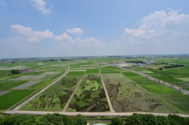 East Japan City Launches Rooftop Tours to Explore Anime-Themed Rice Paddy Art