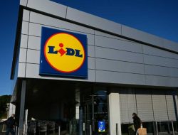 Lidl Must Pay 50 Million to French Rival Over Deceptive Ads