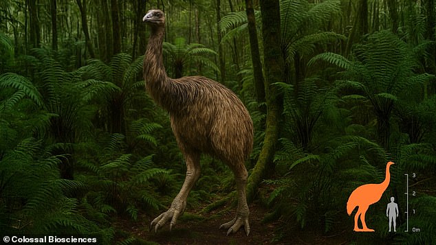 Company Seeks to Resurrect Woolly Mammoth by Focusing on 230kg Moa Bird