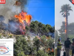 Europe’s Deadly Heat Dome Killed 2,300 in Two Weeks, Study Reveals Europe’s Deadly Heat Dome Killed 2,300 in Two Weeks, Study Reveals